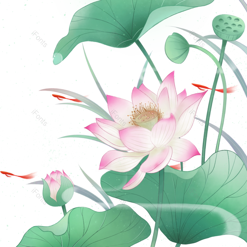 夏至图片,中国风元素,荷花PNG,夏天免抠素材